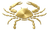 Cancer Icon