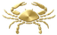 Cancer