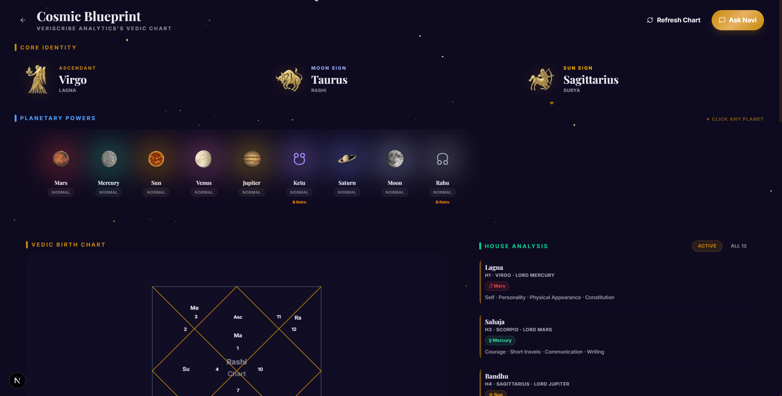AstraMitra Kundli Desktop